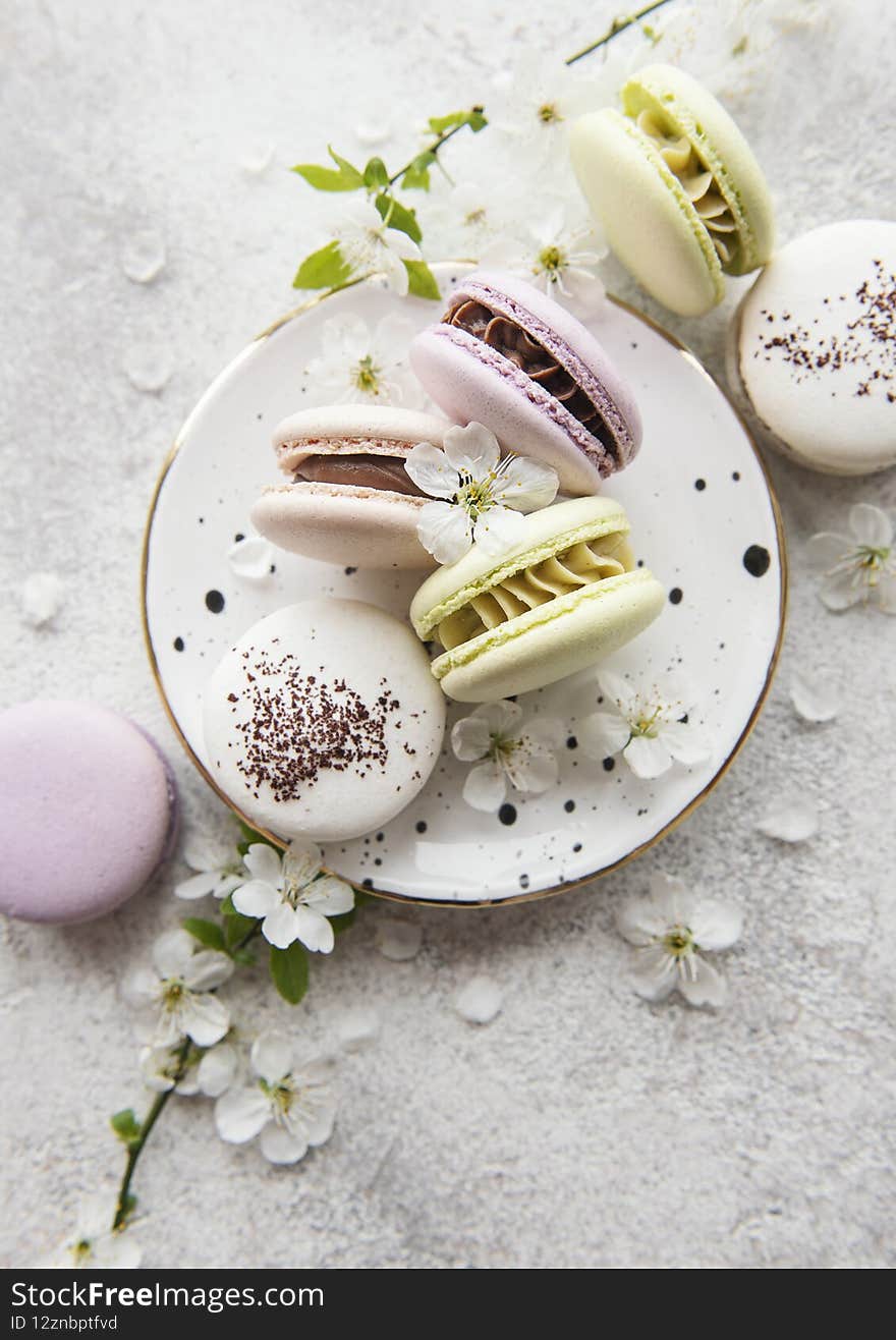 French sweet macaroons colorful variety on a concrete background with spring blossom