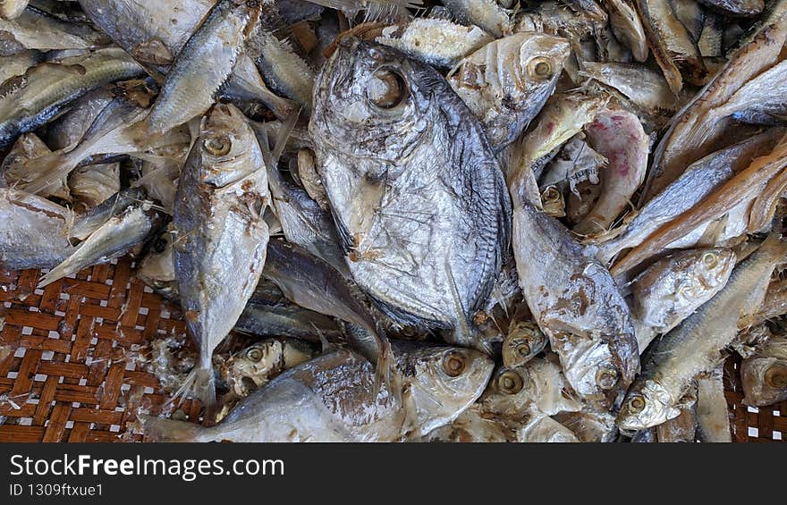 Salted fish to be dried in the sun