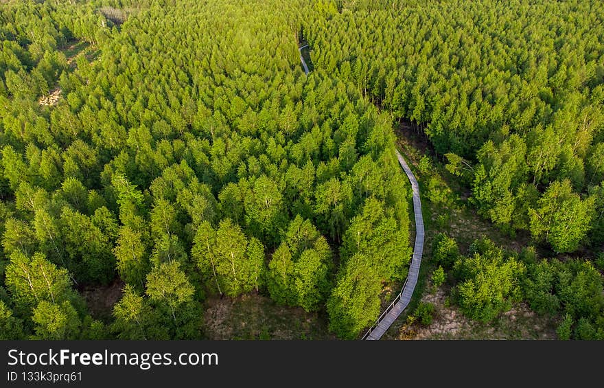 Aerial view of the hiking trail on boardwalks through the Todtenbruch Moor in the Raffelsbrand region in the Eifel region