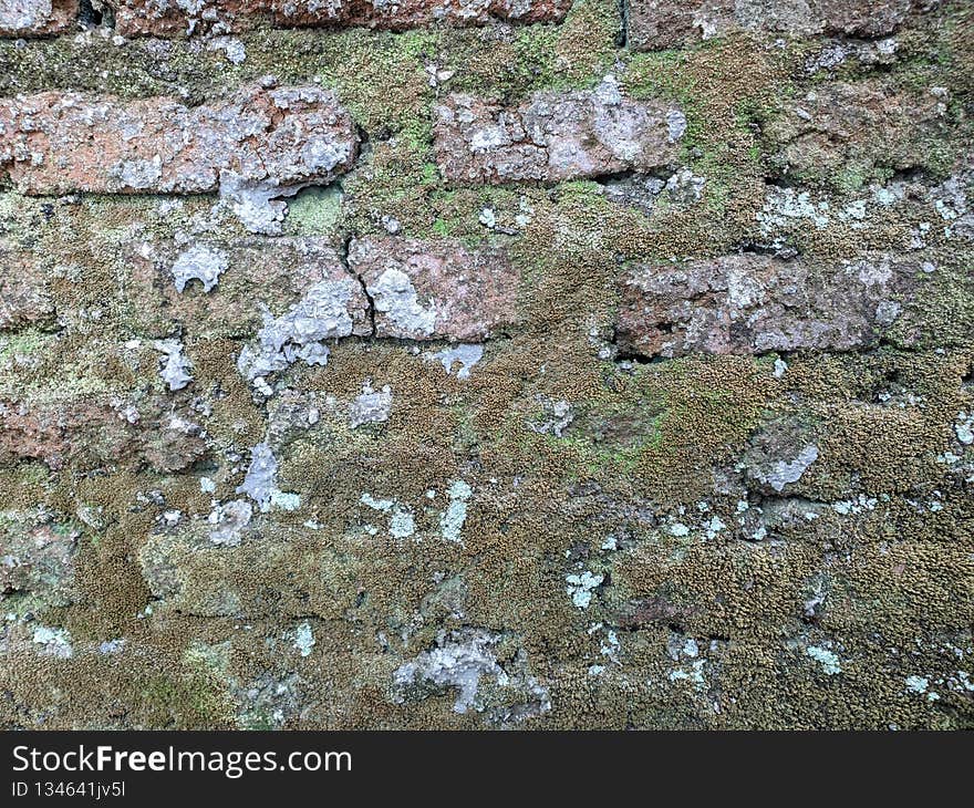 Horizontal section of the old brick wall. Horizontal section of the old brick wall