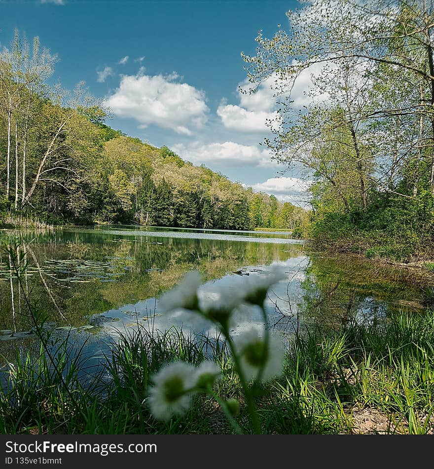 Lakes beauty in day