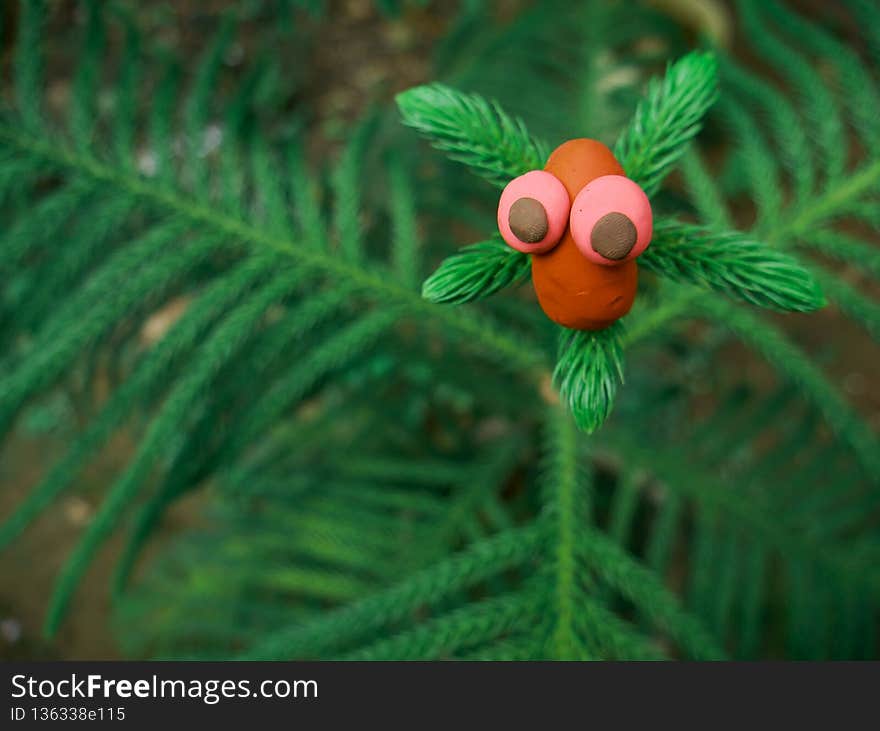 Nature tropical plant presenting clay cartoon head in red color egg shape. Nature tropical plant presenting clay cartoon head in red color egg shape