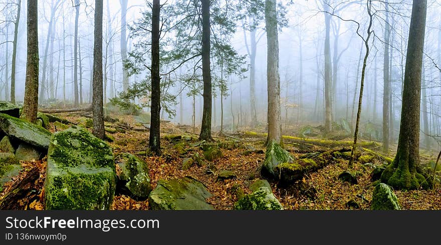 Great Smoky Mountains