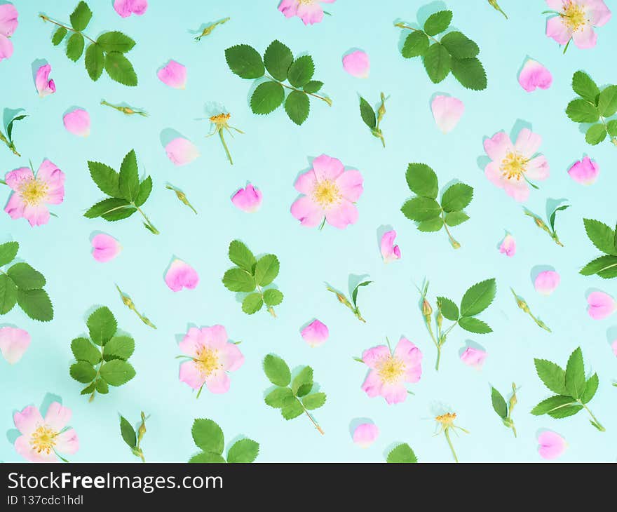 Composition of flowers and leaves, top view.