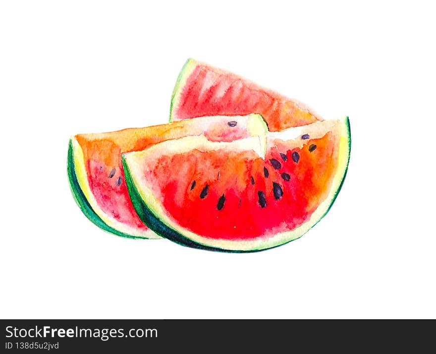 Painted watermelon slices in watercolor