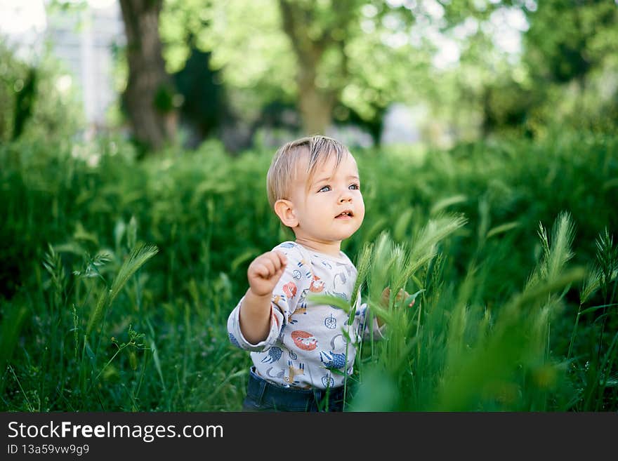 Toddler sits in the tall grass against the backdrop of trees. Portrait. High quality photo