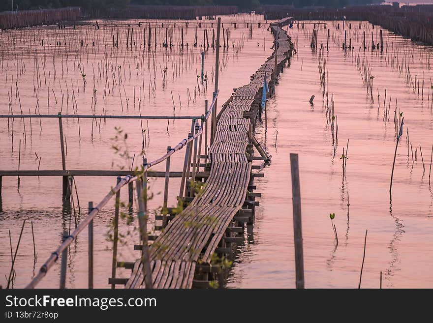 Golden natural sea sunrise view of Mangrove forest and small wooden bridge at horizon with people silhouette and orange sky landscape. Sunrise scenery Bangkok sea at Bangkhuntien, Bangkok, Thailand. Golden natural sea sunrise view of Mangrove forest and small wooden bridge at horizon with people silhouette and orange sky landscape. Sunrise scenery Bangkok sea at Bangkhuntien, Bangkok, Thailand