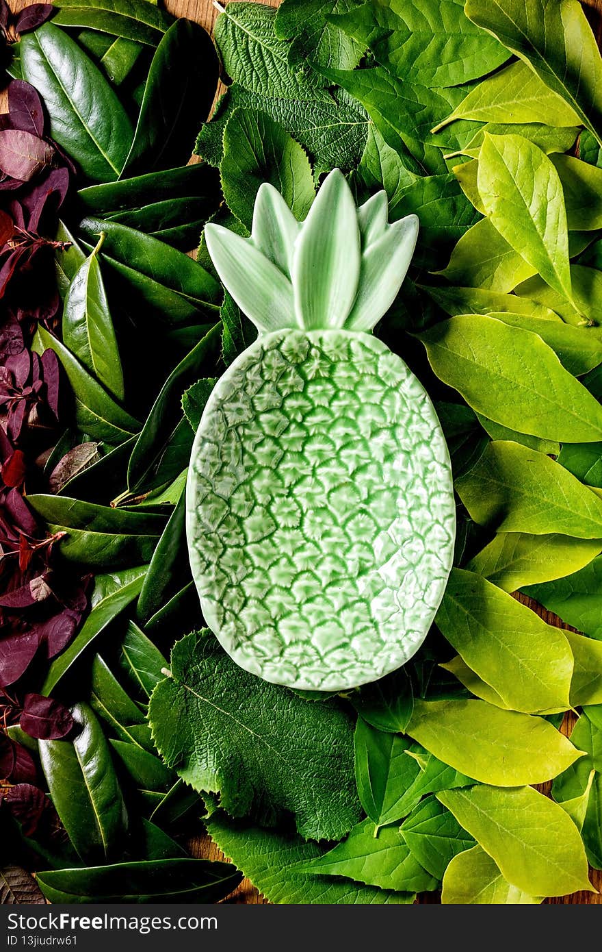 Ceramic green pineapple plate on background made of different green and red leaves, green gradient. Copy space. Nature creative layout, Top view, flat lay. Eco food concept. Ceramic green pineapple plate on background made of different green and red leaves, green gradient. Copy space. Nature creative layout, Top view, flat lay. Eco food concept