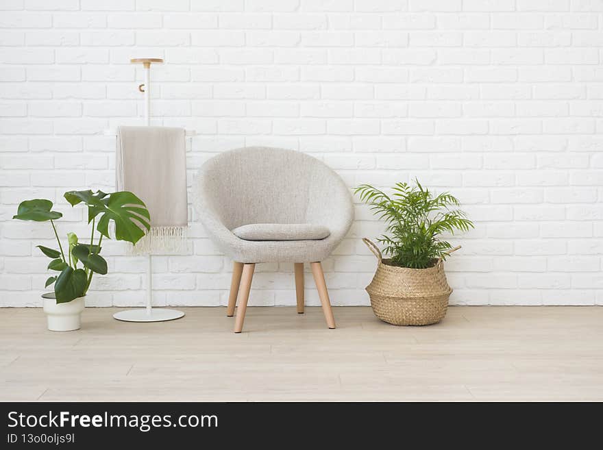 Contemporary interior design of living room with chair and plants.
