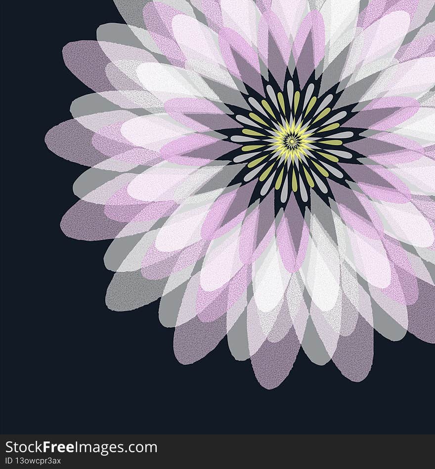 An abstract illustration featuring a pink and white geometric star-flower, on a black background. Very dramatic in a delicate way. An abstract illustration featuring a pink and white geometric star-flower, on a black background. Very dramatic in a delicate way.