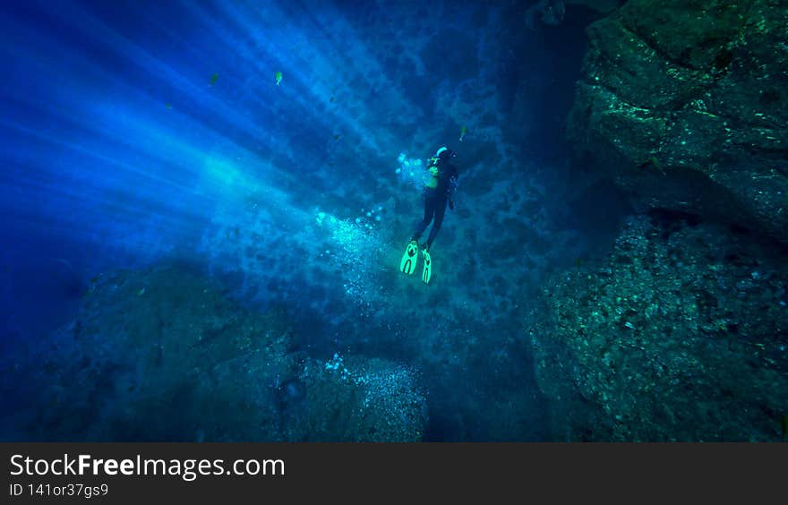 From a scuba dive in the great and deep Atlantic ocean. From a scuba dive in the great and deep Atlantic ocean.
