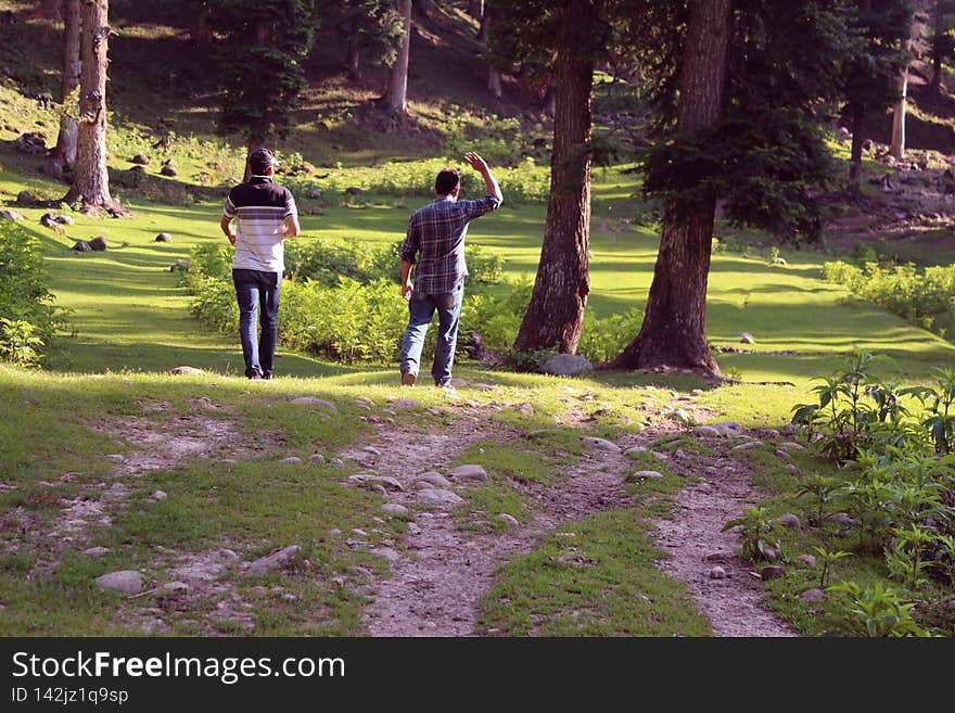 Spending time in nature is one of the things that we love to do. Being in the forest shows nature at its finest. It also allows you to slow down and appreciate the small things. Spending time in nature is one of the things that we love to do. Being in the forest shows nature at its finest. It also allows you to slow down and appreciate the small things.