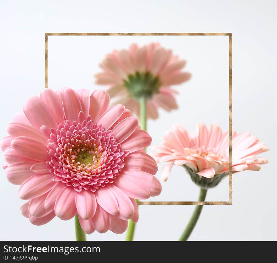 Beautiful pink flowers