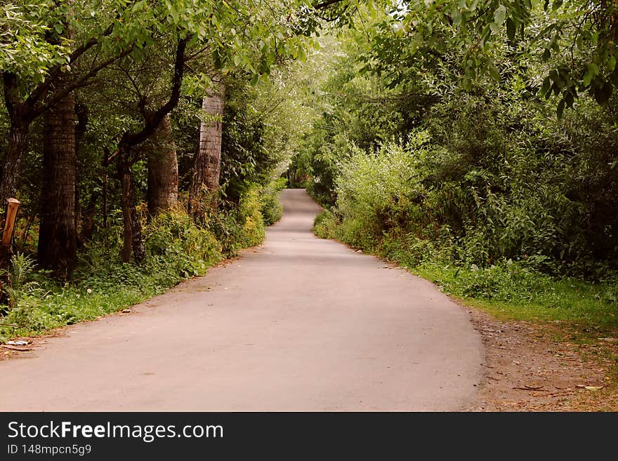 As compared to city and town roads, village roads are more beautiful and comfortable to walk on. Here in the village one gets a chance to breathe clean, unpolluted pure air. As compared to city and town roads, village roads are more beautiful and comfortable to walk on. Here in the village one gets a chance to breathe clean, unpolluted pure air.
