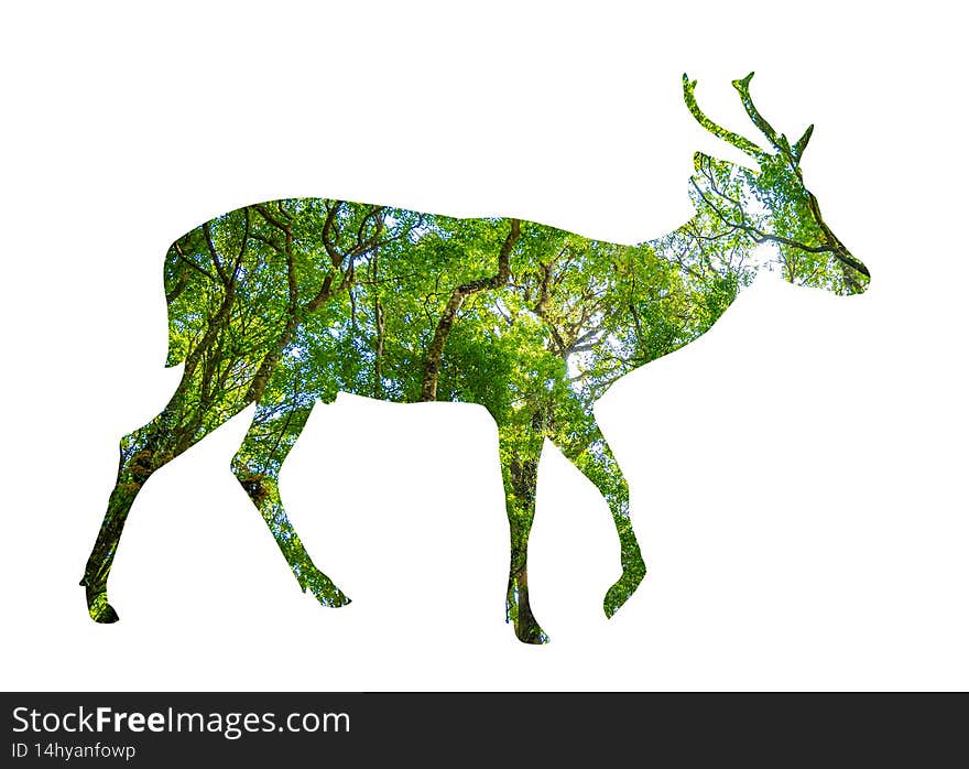 World Wildlife Day forest silhouette in the shape of a wild animal wildlife and forest conservation concept