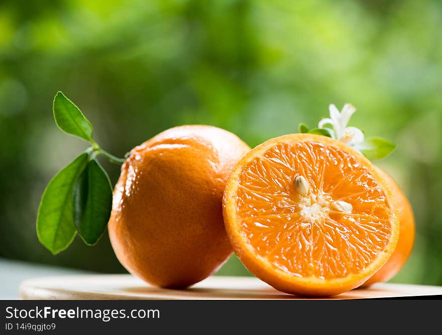 Fresh orange fruits on nature background