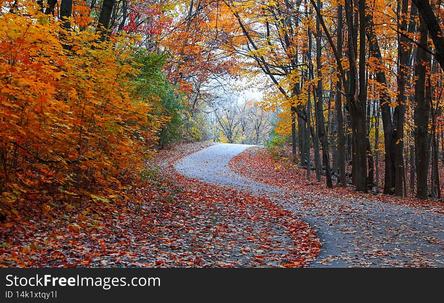 Colorful autumn trees by the biking trail in rural Michigan. Colorful autumn trees by the biking trail in rural Michigan