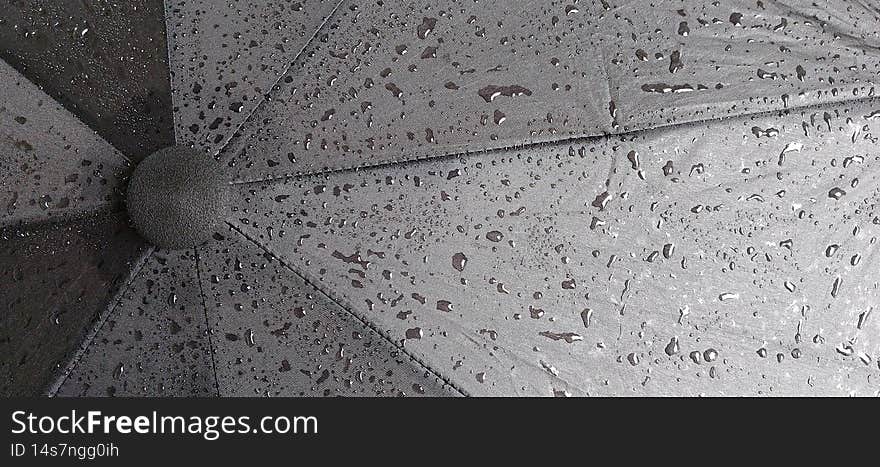 Grey wet umbrella closeup