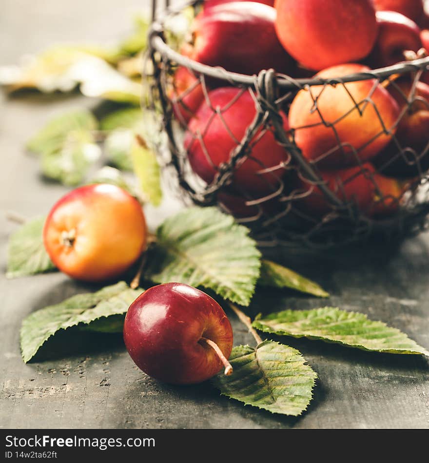 Ripe red apples in metal basket on rustic table