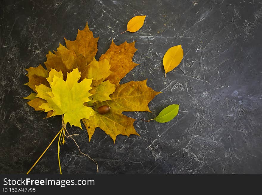 Autumn leaves on concrete background frame october