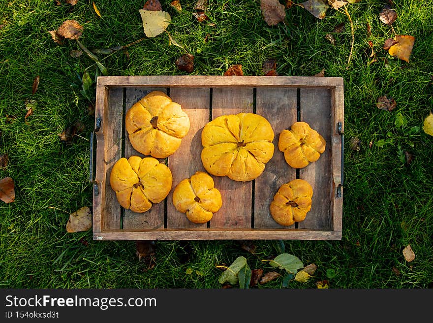 Pumpkin cookies on desk on green grass, Above view