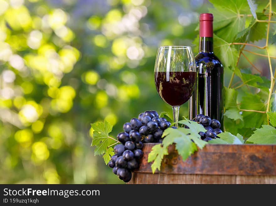 bottle and glass of red wine and ripe bunch of blue grape on wooden barrel in garden. bottle and glass of red wine and ripe bunch of blue grape on wooden barrel in garden