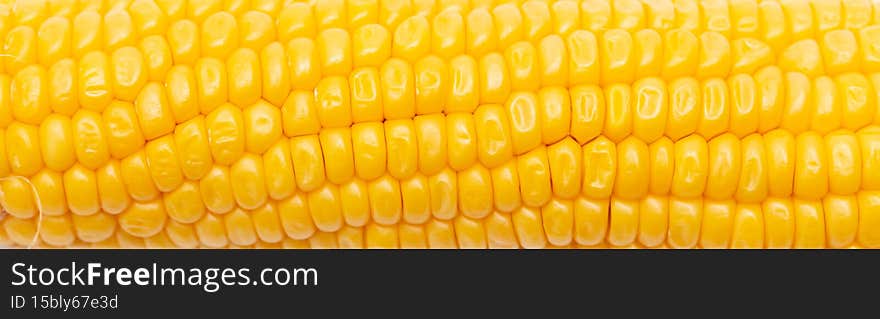 Yellow corn as a background. Close-up