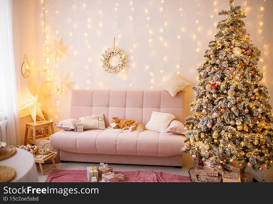 Beautiful ginger cat lies on the sofa