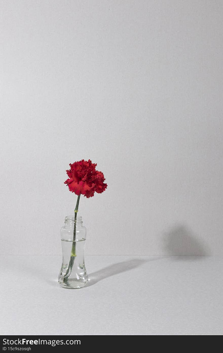 blossom flower vase table &x28;7&x29;. High quality photo