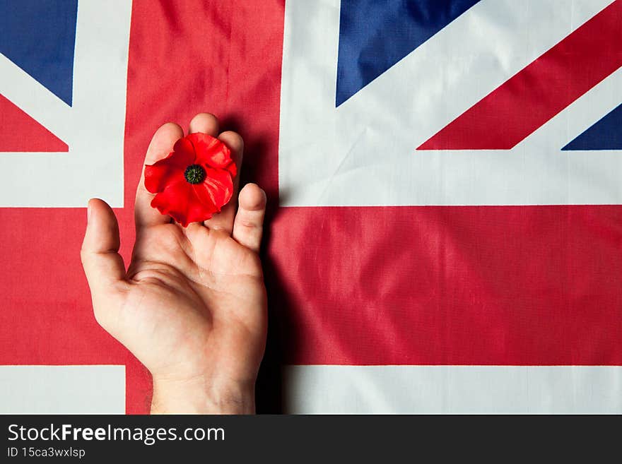 Remembrance Day. Realistic Red Poppy flower in hand and Flag of the United Kingdom of Great Britain.