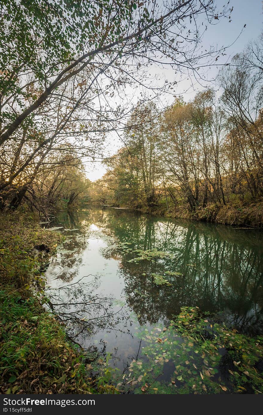 autumn nature of Sursky krai.
