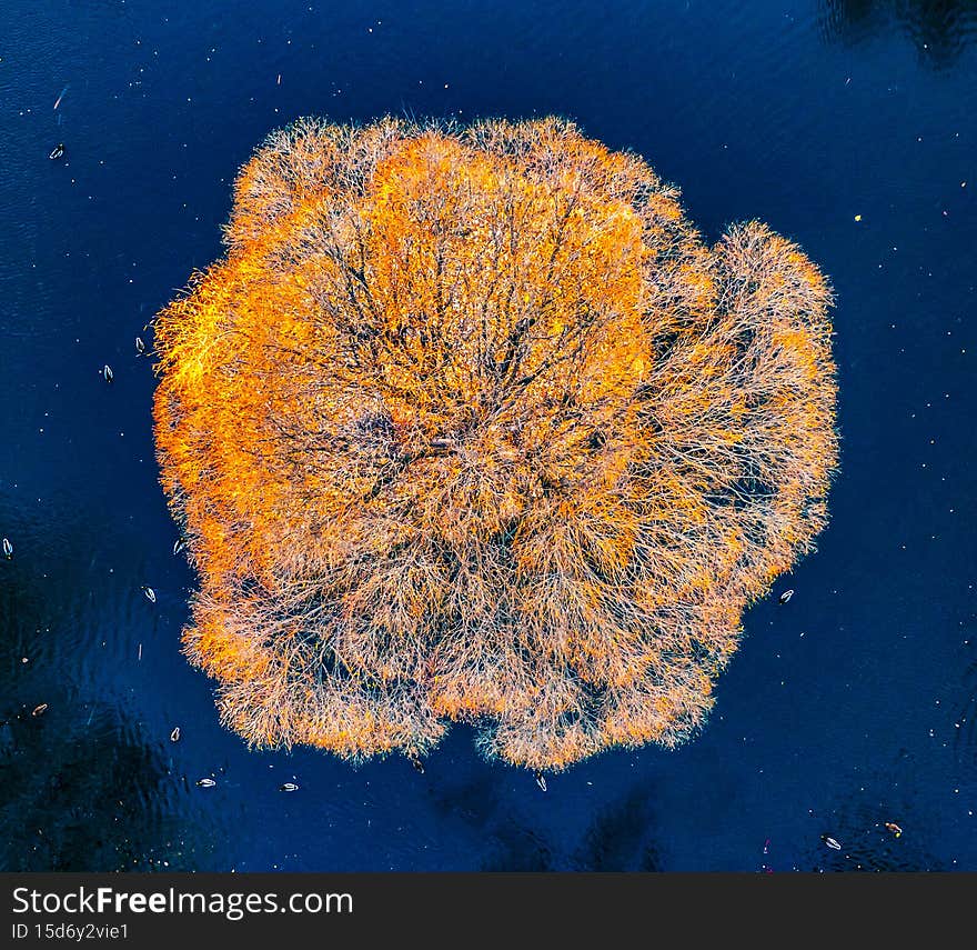 pond in autumn Park with paths, the view from the drone. pond in autumn Park with paths, the view from the drone