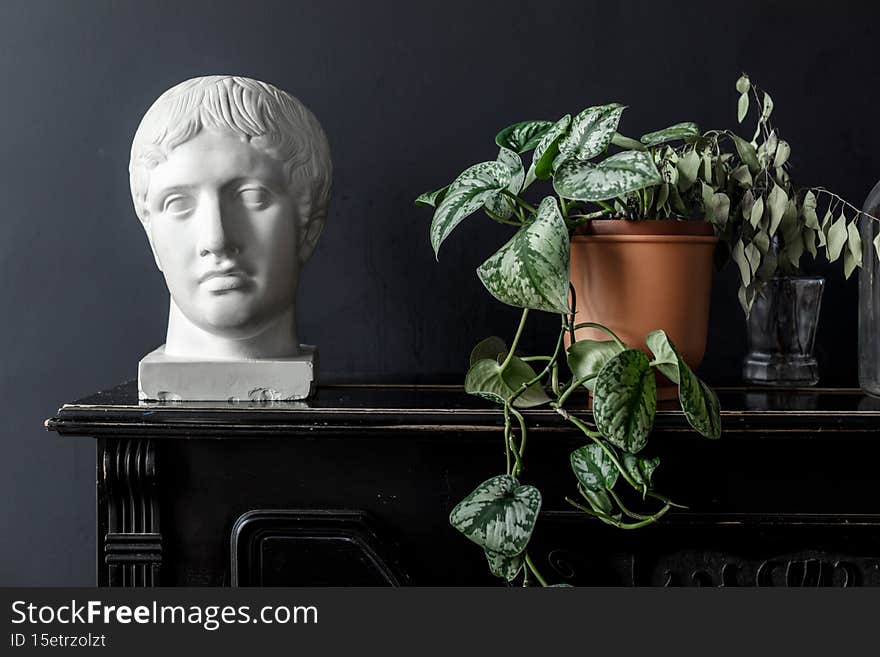 Interior decoration detail - plaster bust and domestic plant pot on vintage rack over black wall