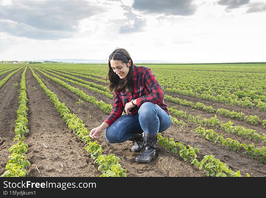 A young female farmer in a soybean field