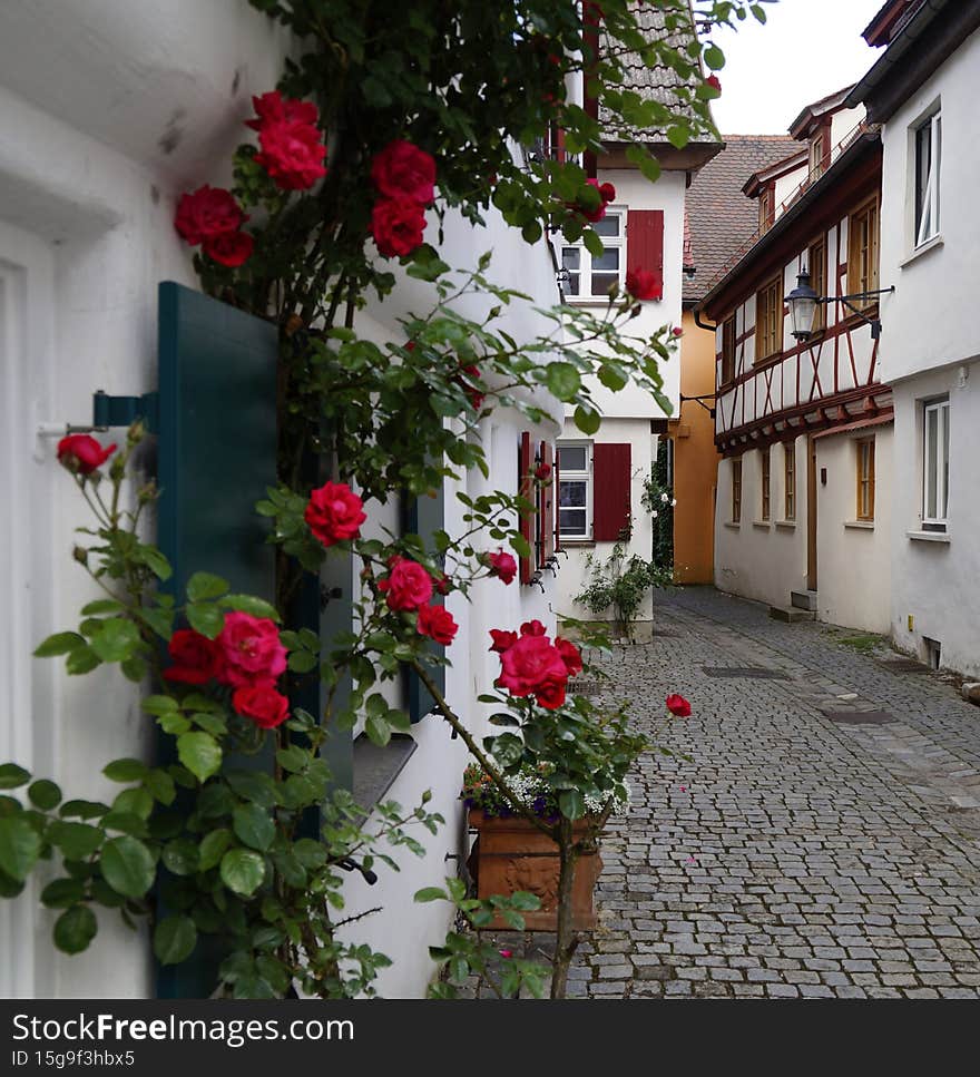a beautiful romantic little street in Gunzburg with red roses on the facades on a fine summer day (Bavaria, Germany). a beautiful romantic little street in Gunzburg with red roses on the facades on a fine summer day (Bavaria, Germany)