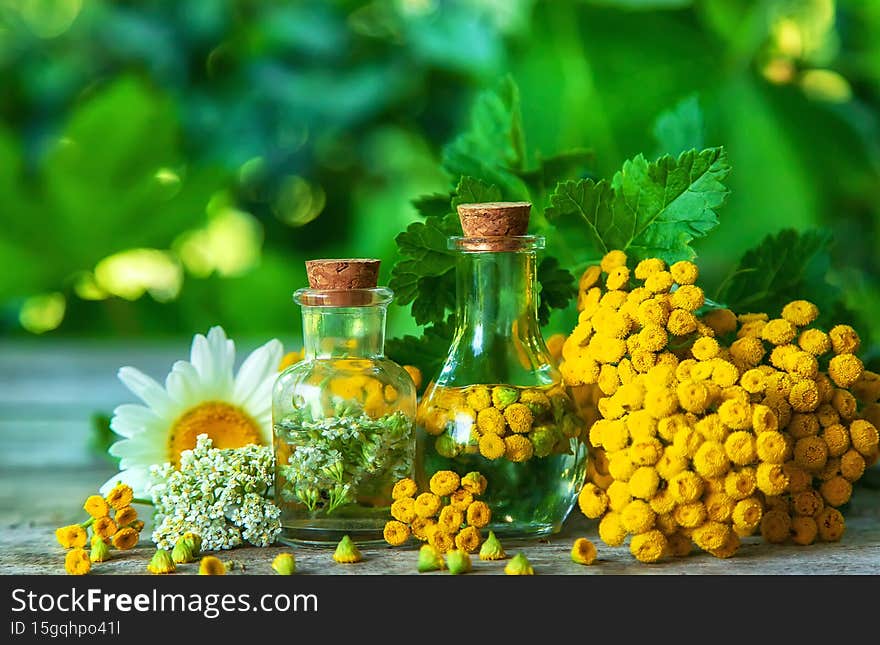 Tincture of herbs in a bottle. Selective focus. Nature.