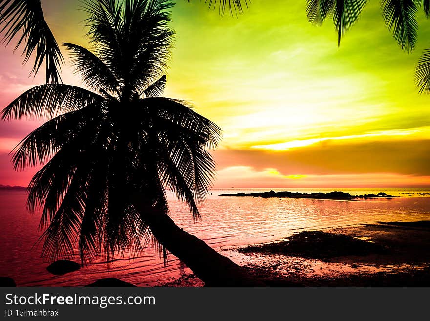 Original colorful sunset paradise landscape with palm tree silhouette over calm sea in pink, yellow sky in the island of Koh Phangan, Thailand. Summer vacation, fantasy twilight, travel destination