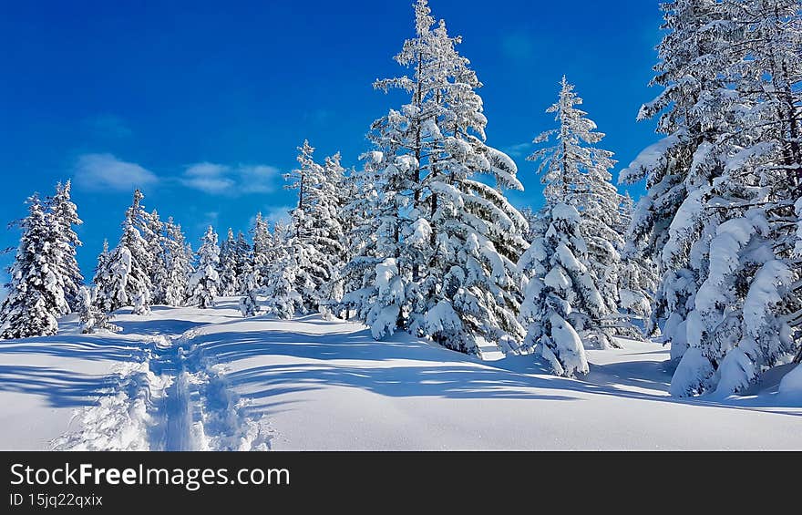 Idyllic winter landscape on sunny winter day. Laterns, Vorarlberg, Austria. High quality photo