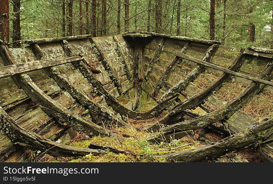 Old abandoned wooden fishing boat in the forest. Boot cemetery. Lielirbe, Latvia