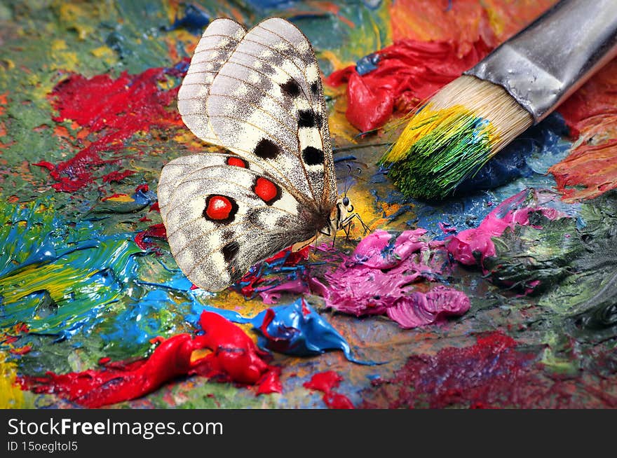 Painting concept. artist`s palette, paintbrush and bright colorful apollo butterfly. apollo - god of art