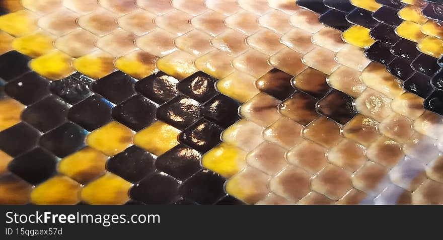 Macro. Snake scales black and yellow. thailand.