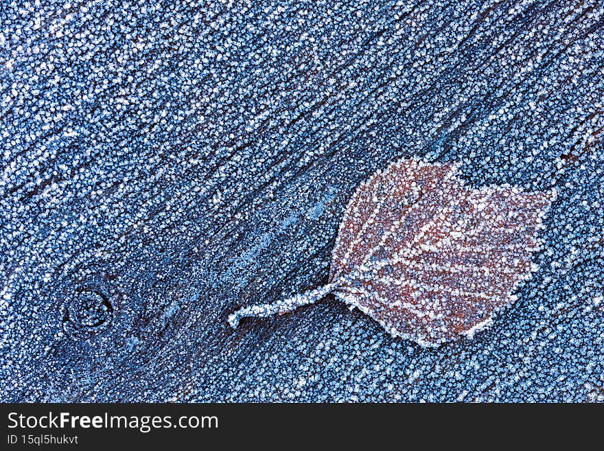 Frozen leaf on a wooden surface, winter background, frosty background, cold winter day