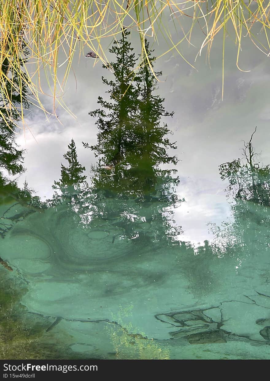Trees and sky reflecting in the turquoise water of the Geyser Lake in Altai, Russia. Trees and sky reflecting in the turquoise water of the Geyser Lake in Altai, Russia