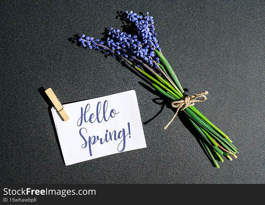 HELLO SPRING Postcard layout. Flat lay, top view. Small bouquet of blue hyacinths. Greeting card for holiday. Grape
