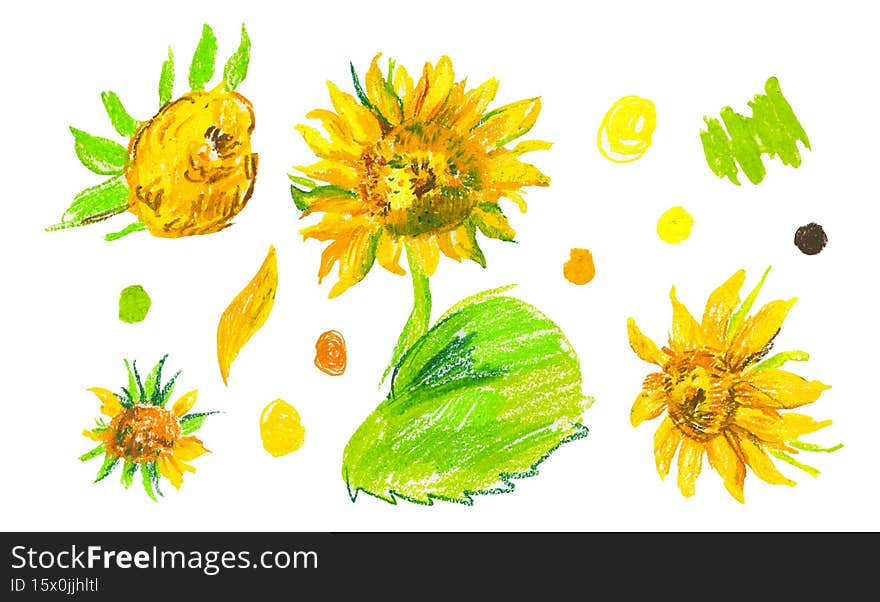 Set of yellow sunflowers in wax crayons on white isolated background.Autumn botanical baby flowers in doodle style