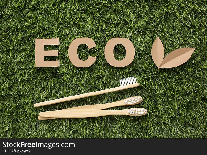 ecological toothbrushes grass. High resolution photo. ecological toothbrushes grass. High resolution photo
