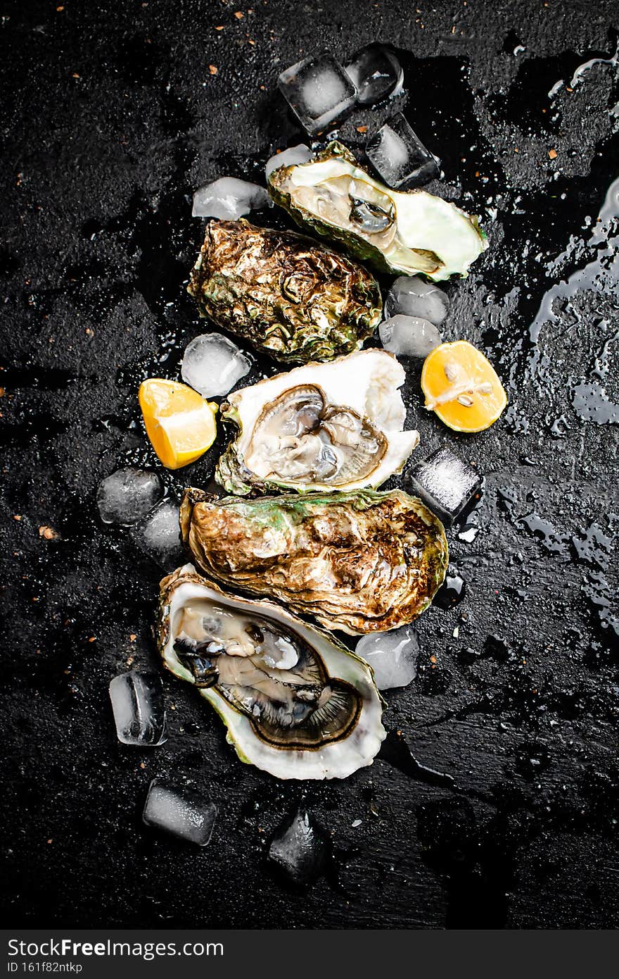 Oysters with lemon and ice cubes. On a black damp background. High quality photo