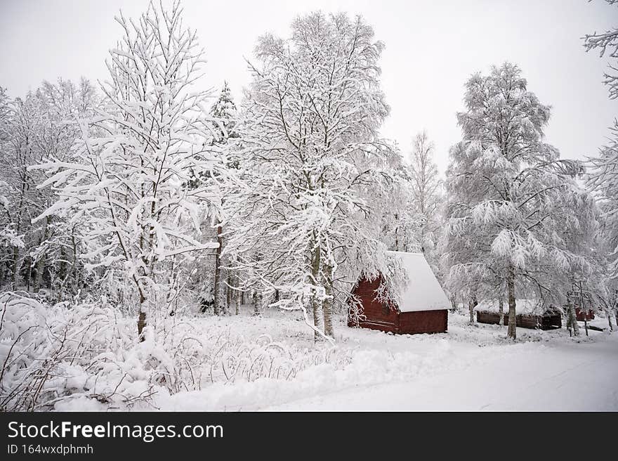 A calm tranquil view of the snow covered trees in the snowdrifts. Small hut in the Magical winter forest. Natural landscape with cloudy sky