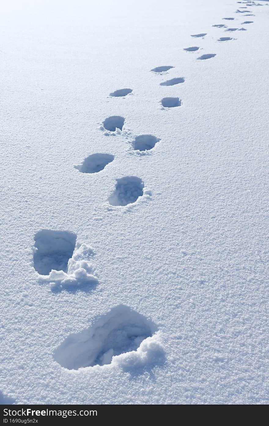 Footprints in deep snow, leaving boot prints in fresh white snow in winter.