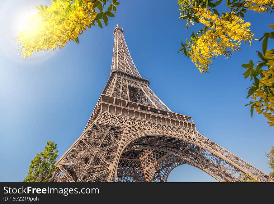 Eiffel Tower with spring trees against blue sky in Paris, France